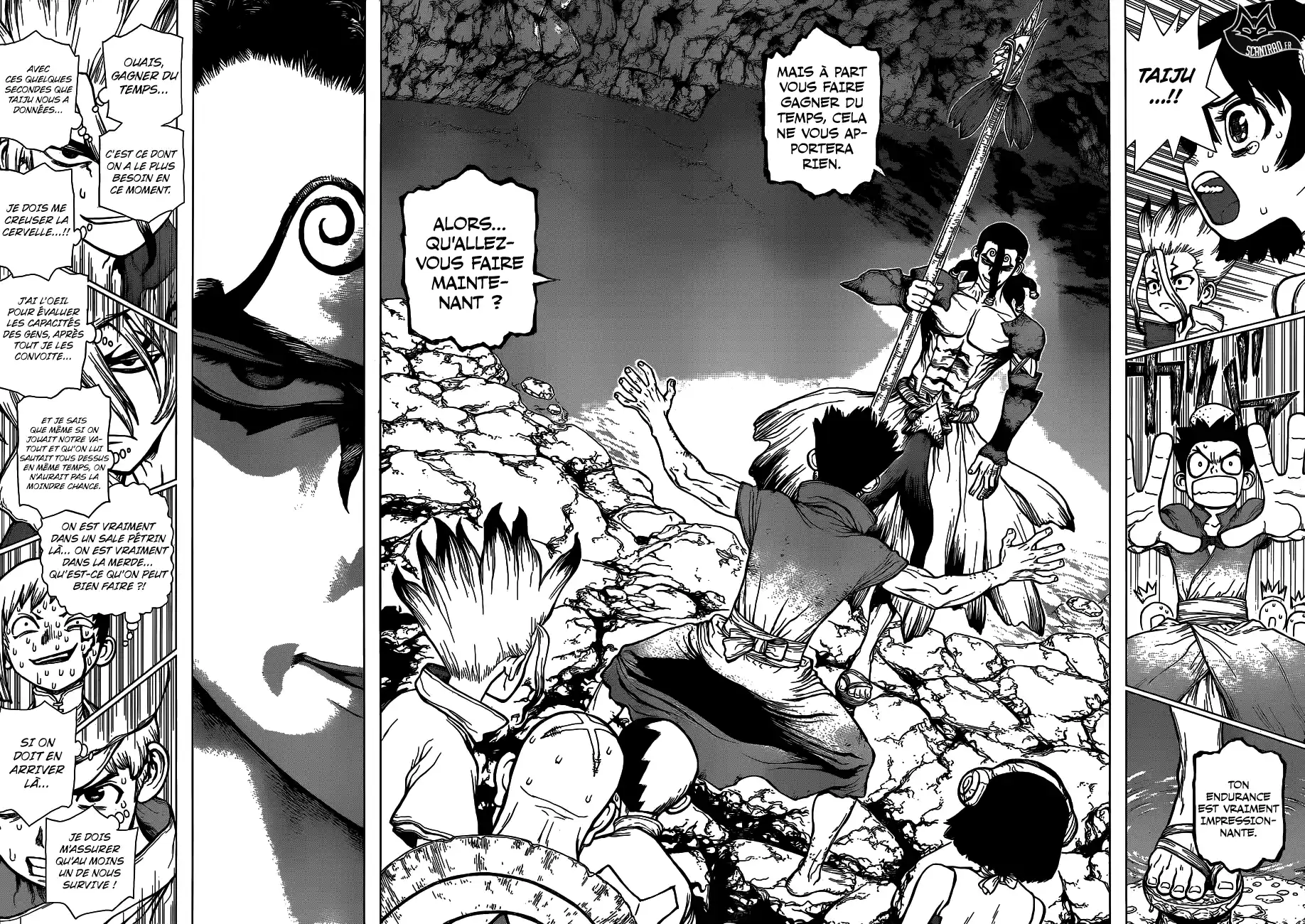 Read Dr. Stone FR Manga Online