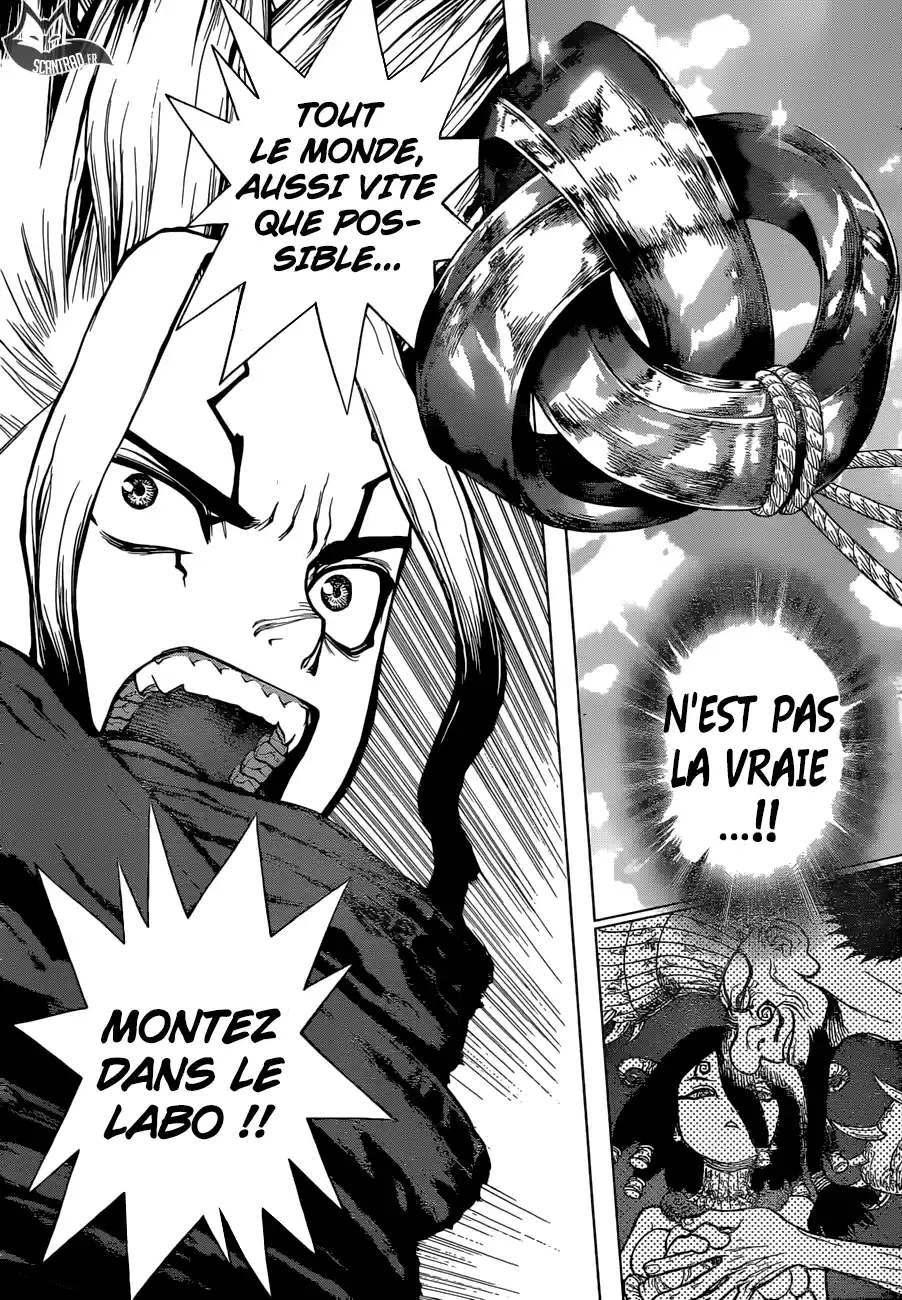 Read Dr. Stone FR Manga Online