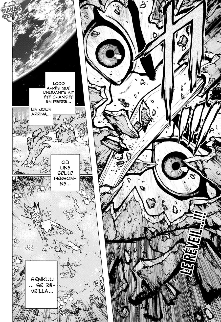 Read Dr. Stone FR Manga Online