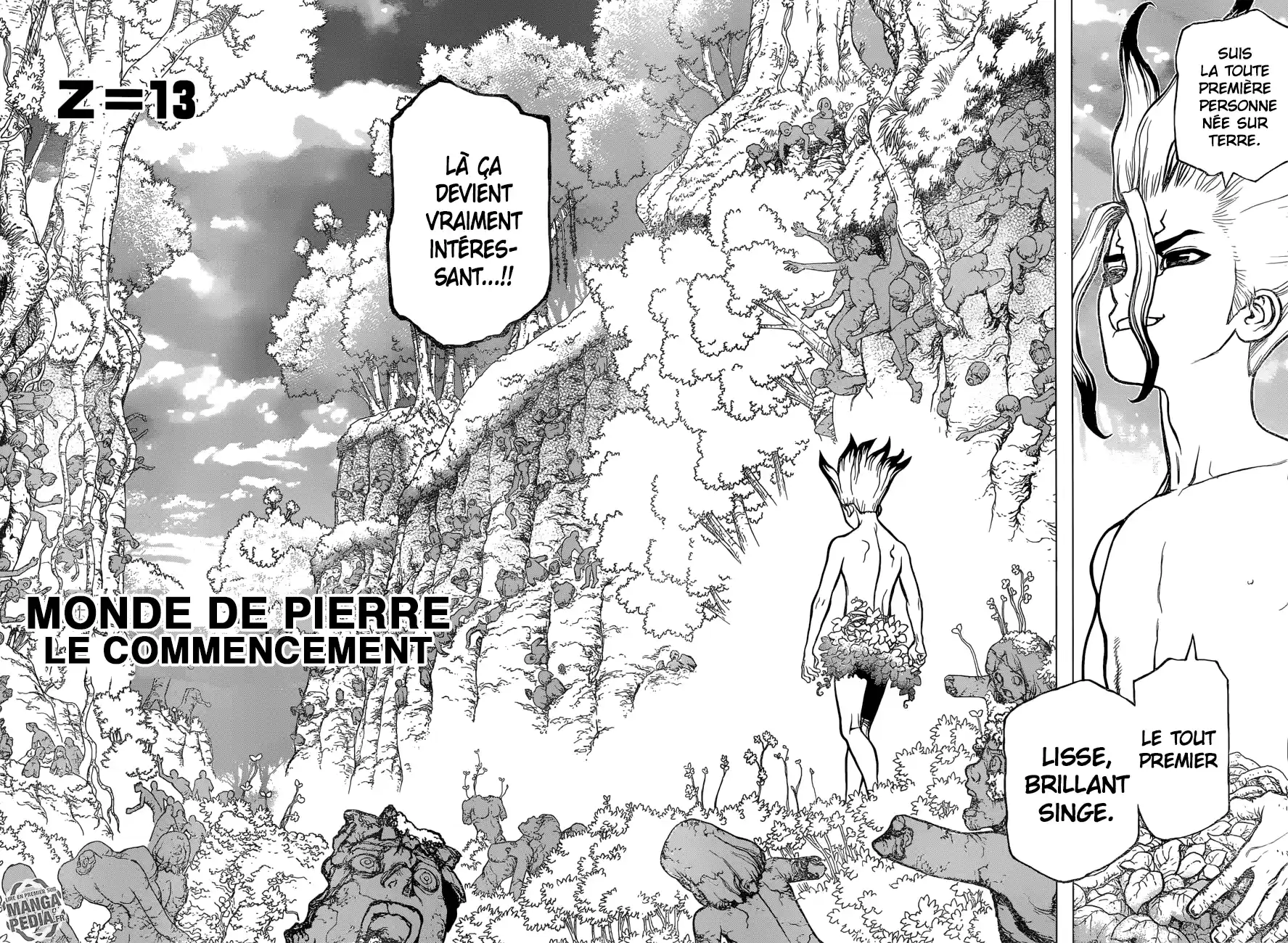 Read Dr. Stone FR Manga Online