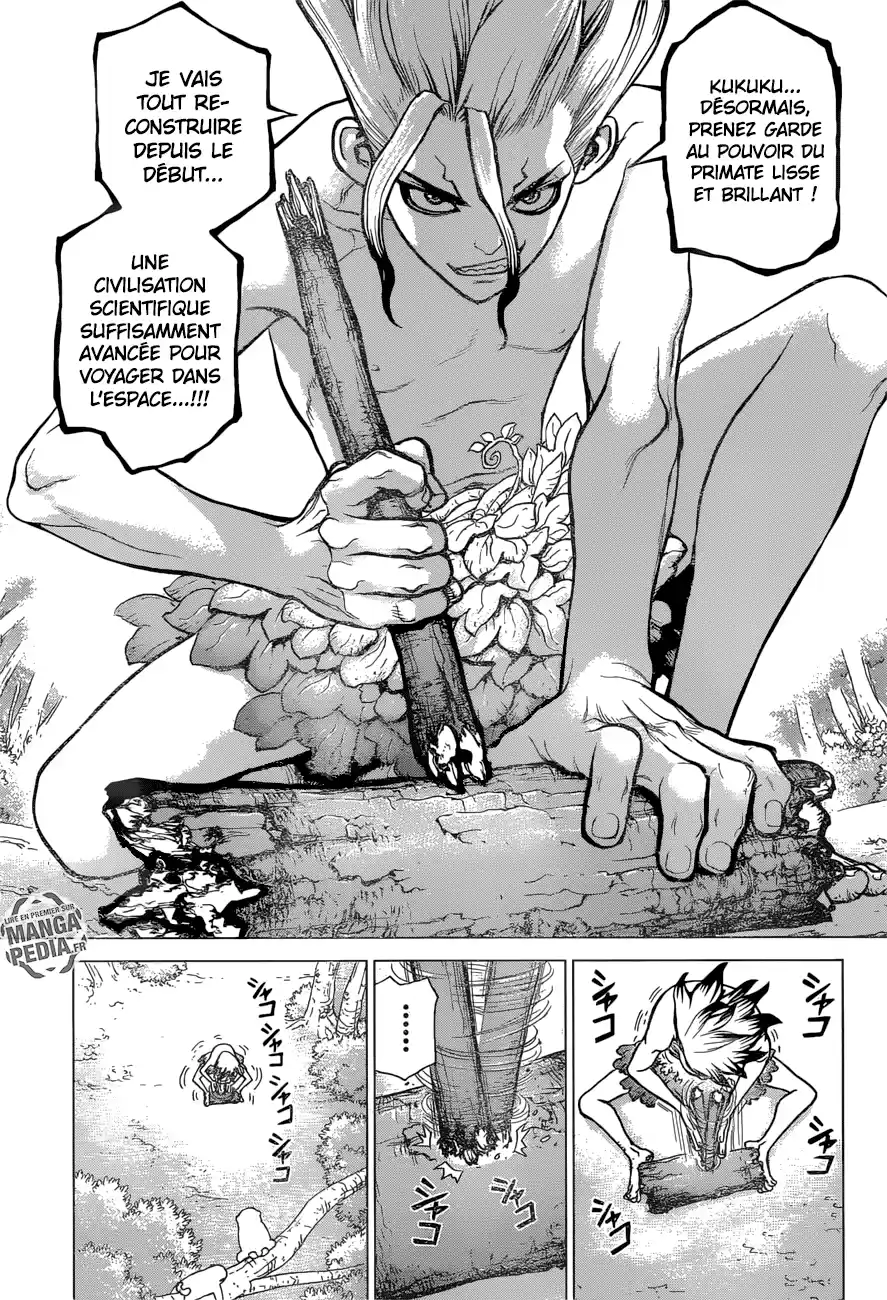 Read Dr. Stone FR Manga Online