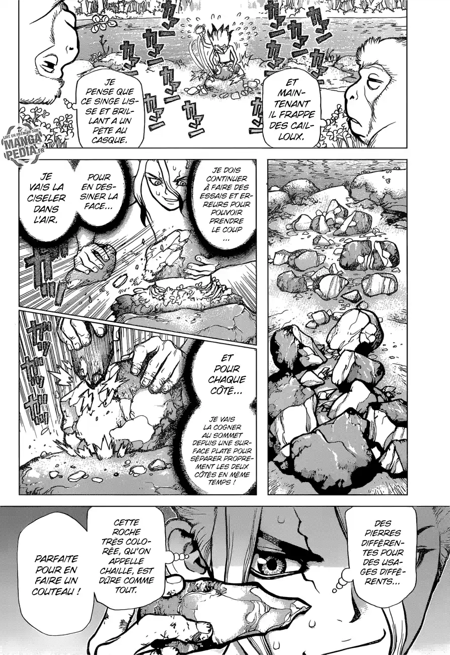 Read Dr. Stone FR Manga Online
