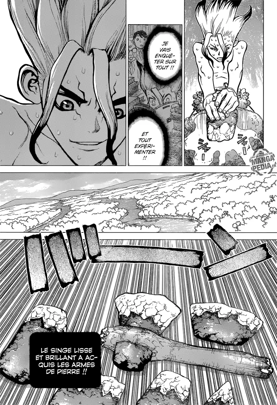 Read Dr. Stone FR Manga Online