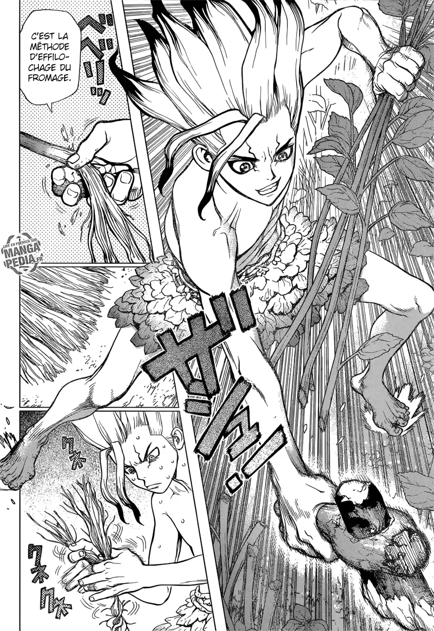 Read Dr. Stone FR Manga Online