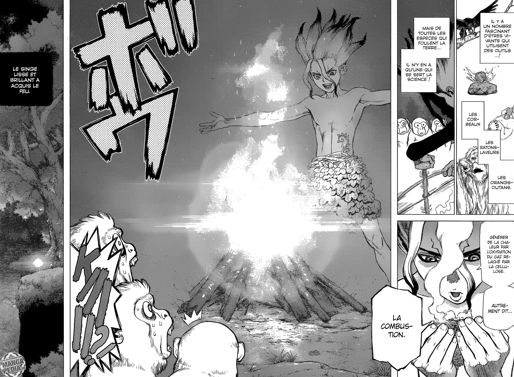 Read Dr. Stone FR Manga Online
