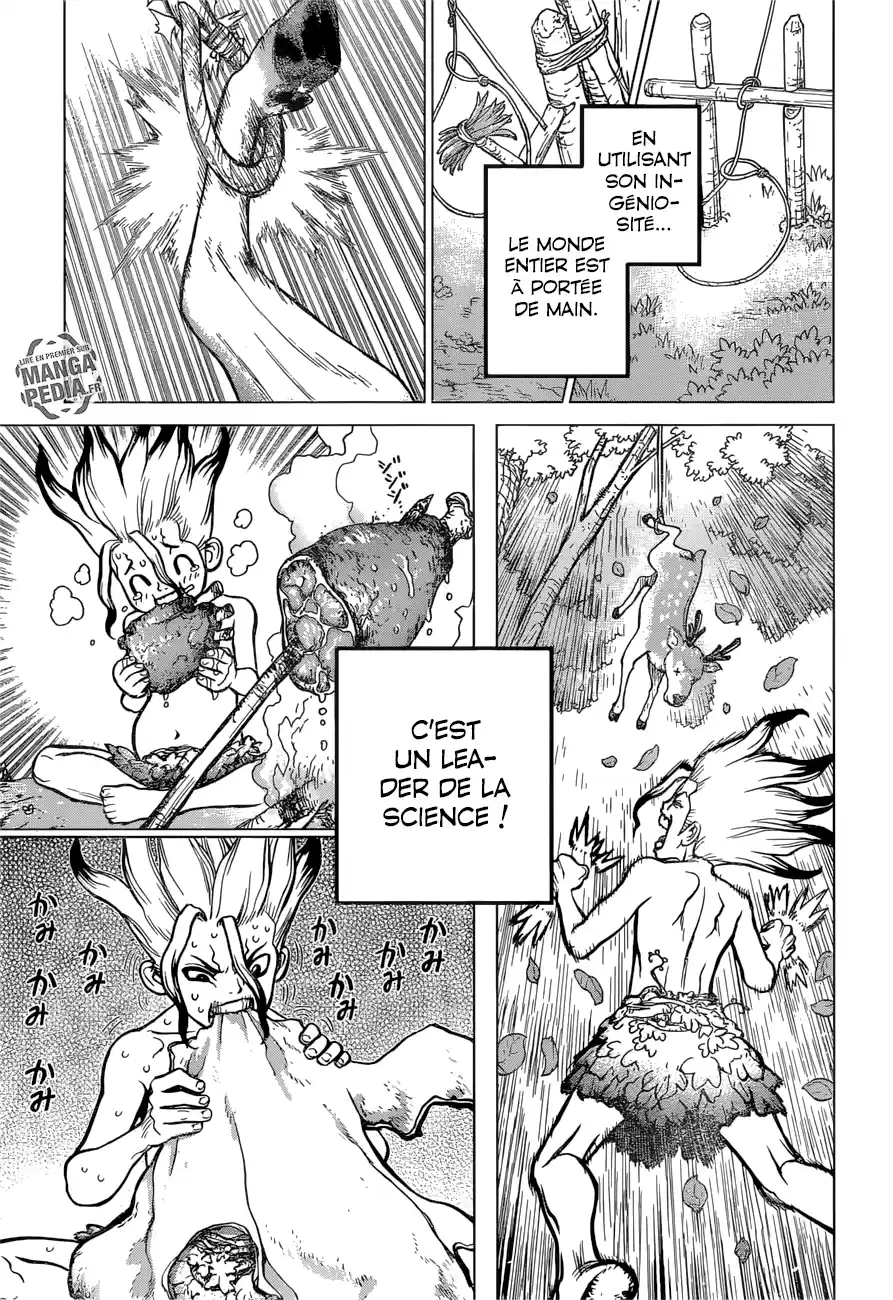 Read Dr. Stone FR Manga Online