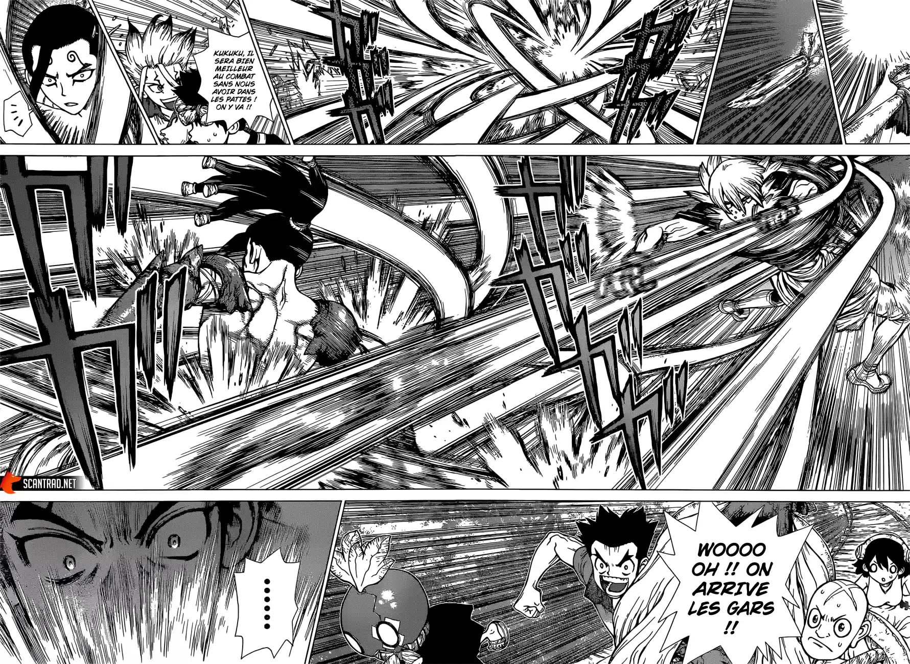 Read Dr. Stone FR Manga Online