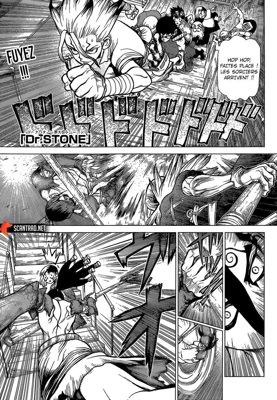Read Dr. Stone FR Manga Online
