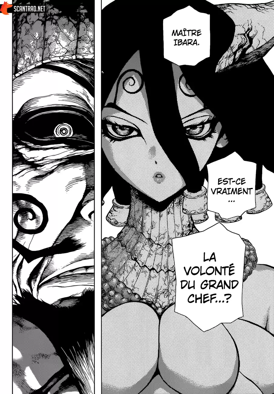 Read Dr. Stone FR Manga Online