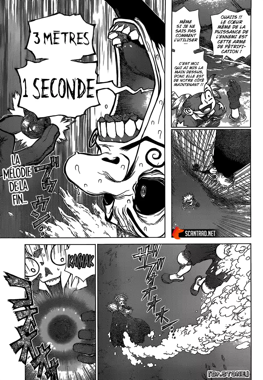 Read Dr. Stone FR Manga Online
