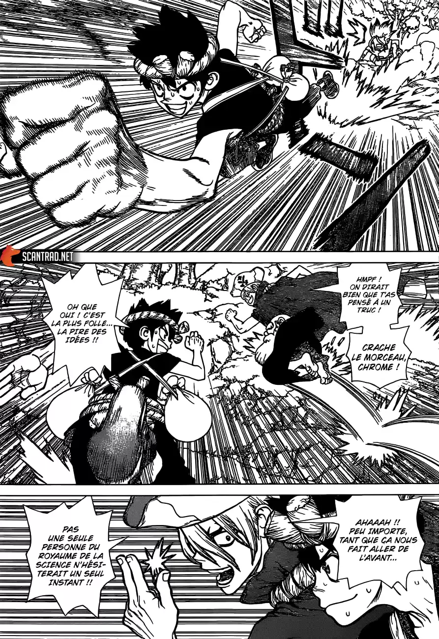 Read Dr. Stone FR Manga Online