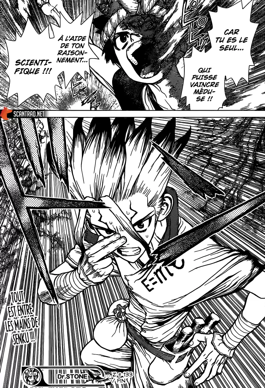 Read Dr. Stone FR Manga Online