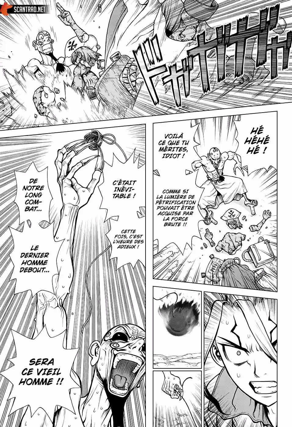 Read Dr. Stone FR Manga Online