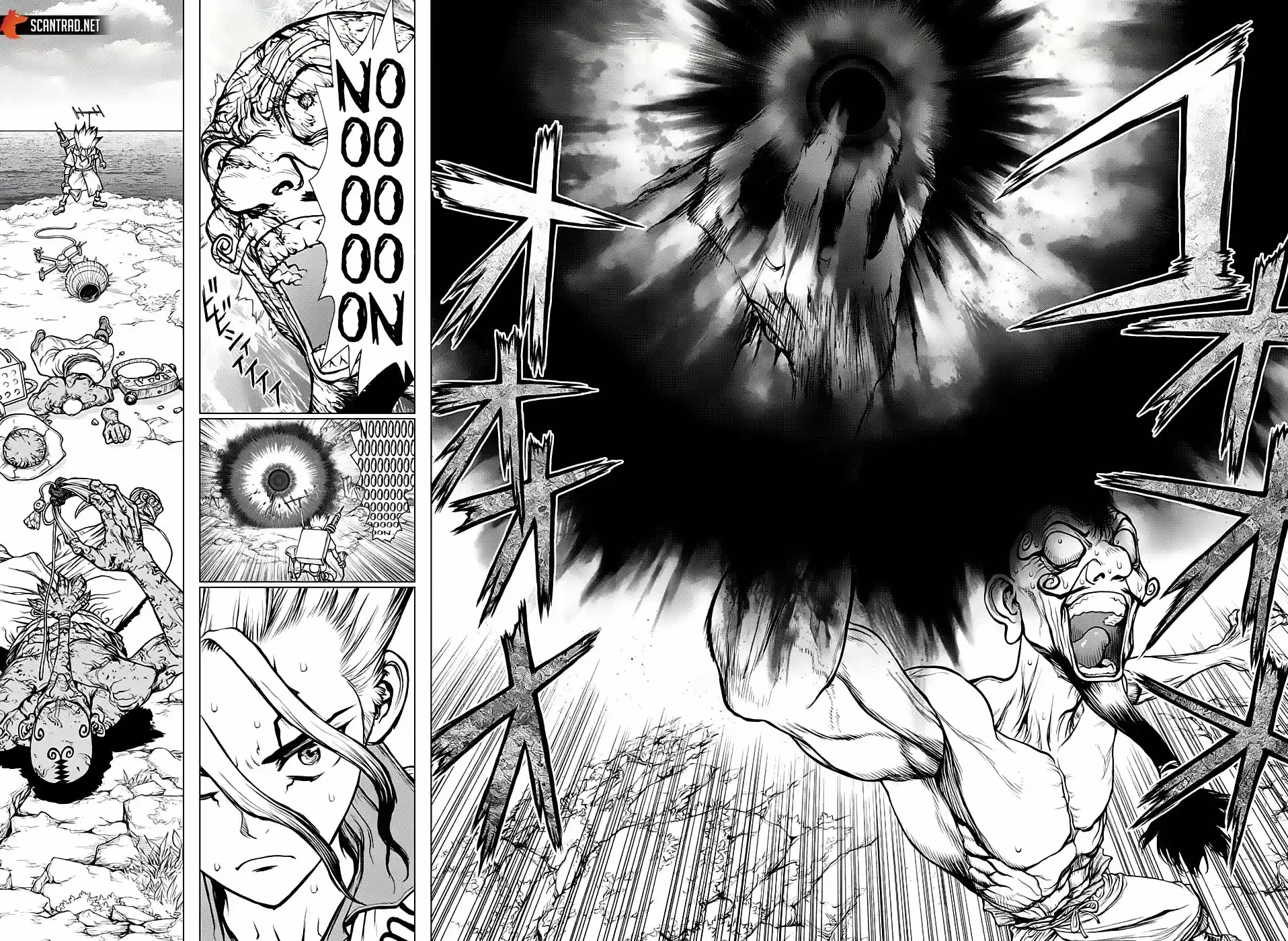 Read Dr. Stone FR Manga Online