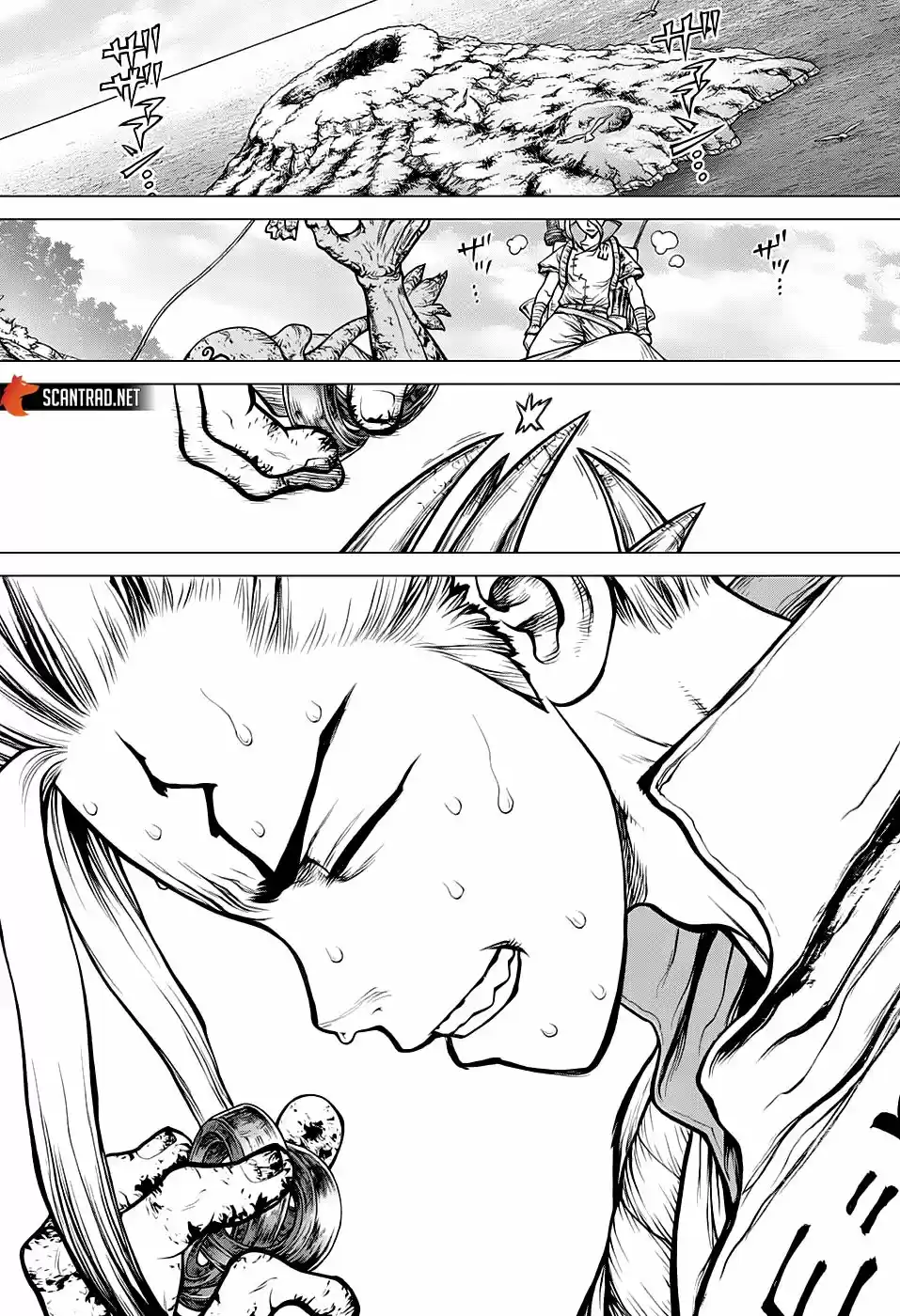 Read Dr. Stone FR Manga Online