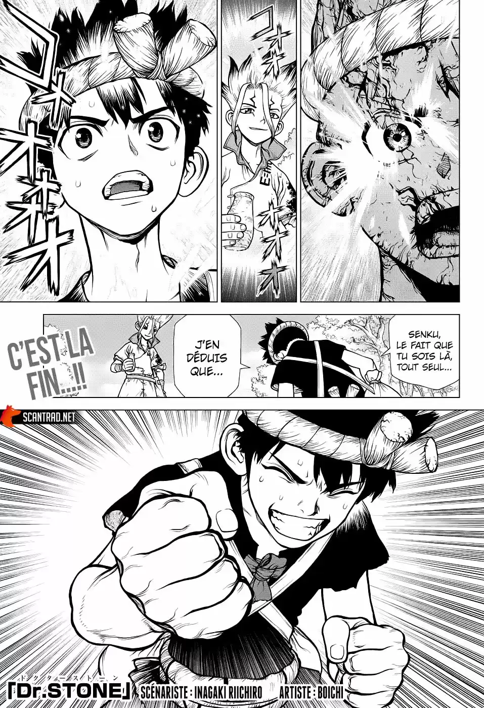 Read Dr. Stone FR Manga Online