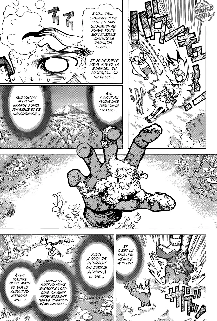Read Dr. Stone FR Manga Online
