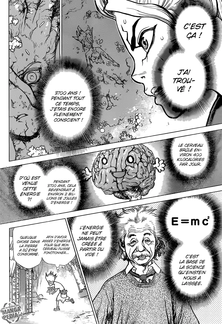 Read Dr. Stone FR Manga Online