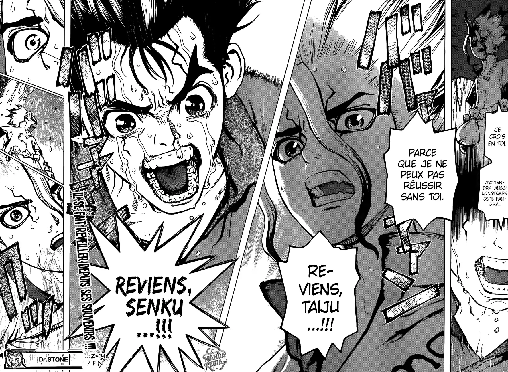 Read Dr. Stone FR Manga Online