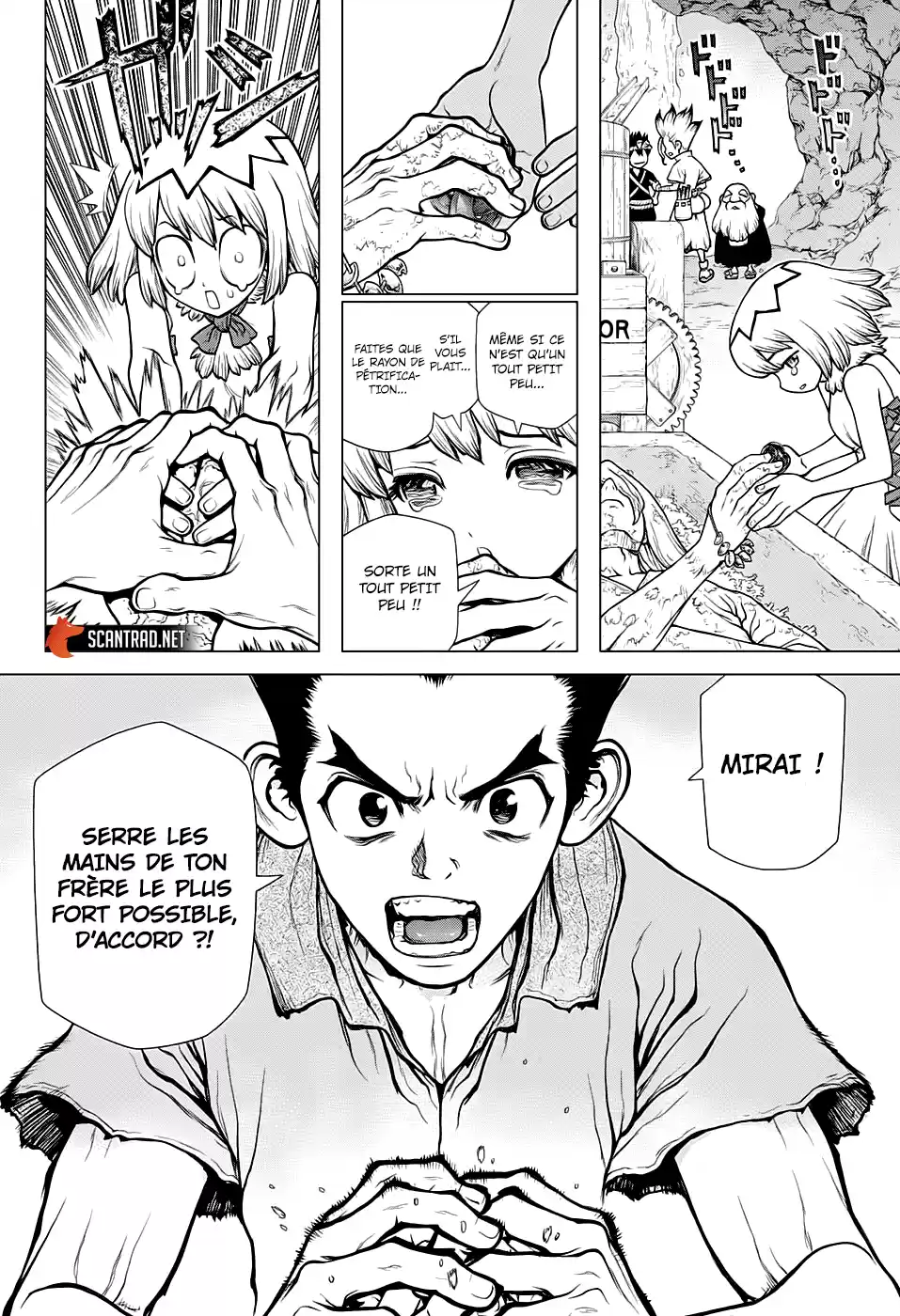 Read Dr. Stone FR Manga Online