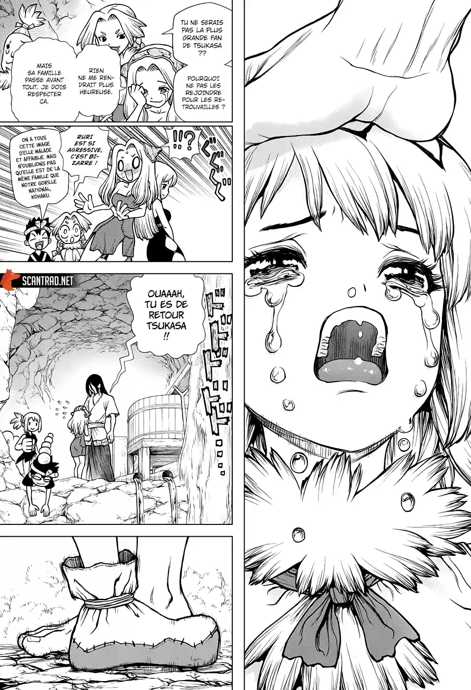 Read Dr. Stone FR Manga Online