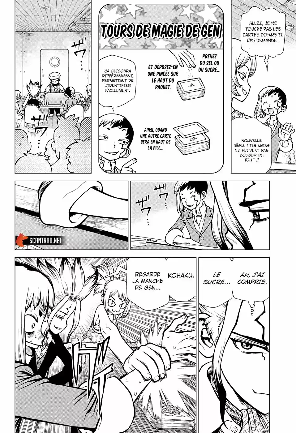 Read Dr. Stone FR Manga Online