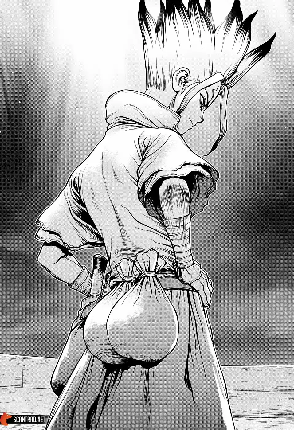 Read Dr. Stone FR Manga Online