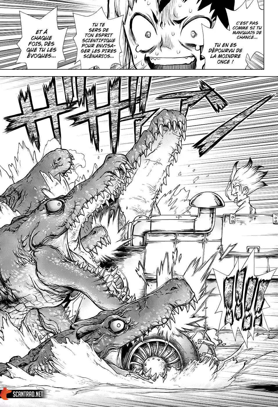 Read Dr. Stone FR Manga Online