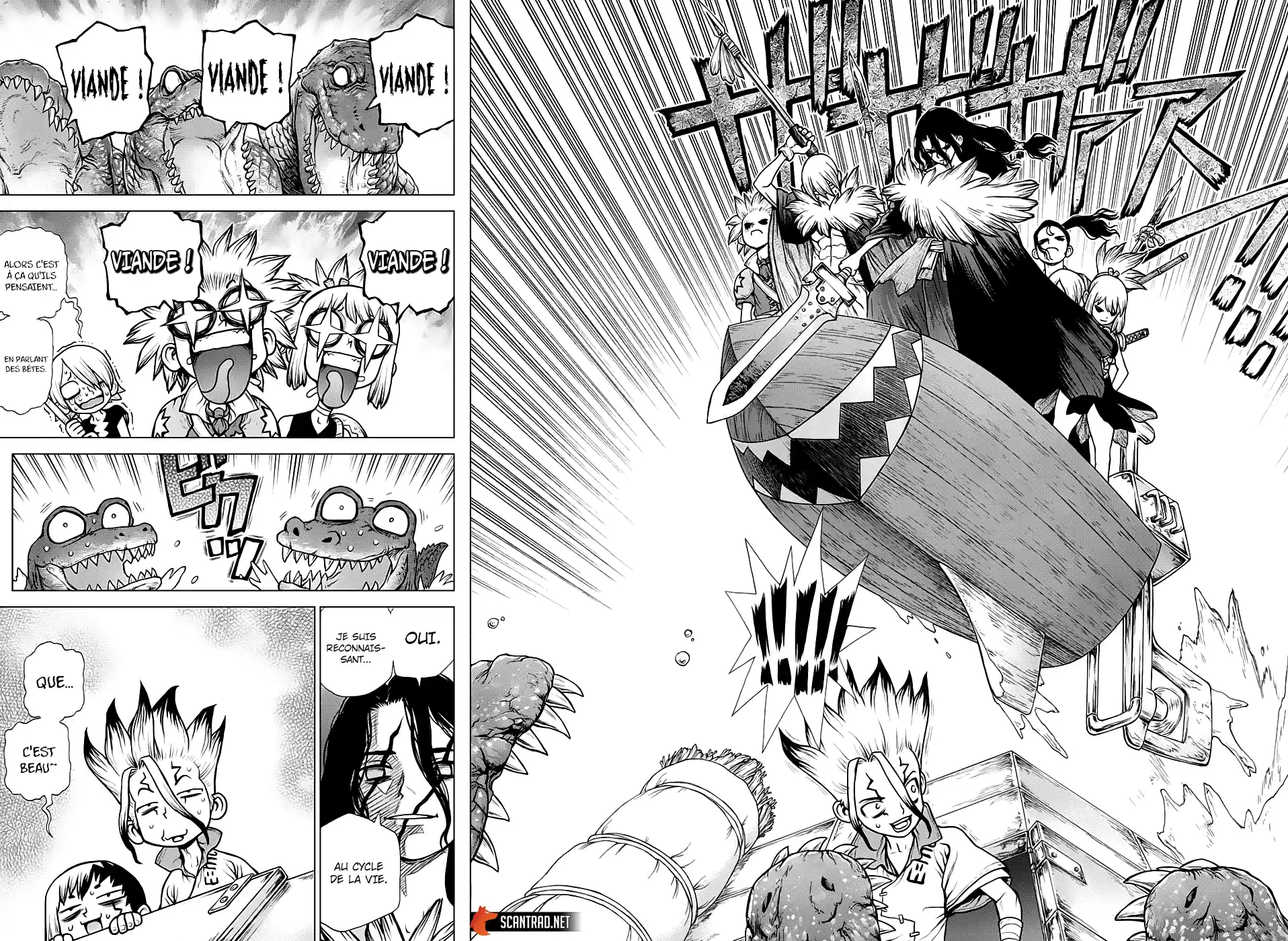 Read Dr. Stone FR Manga Online