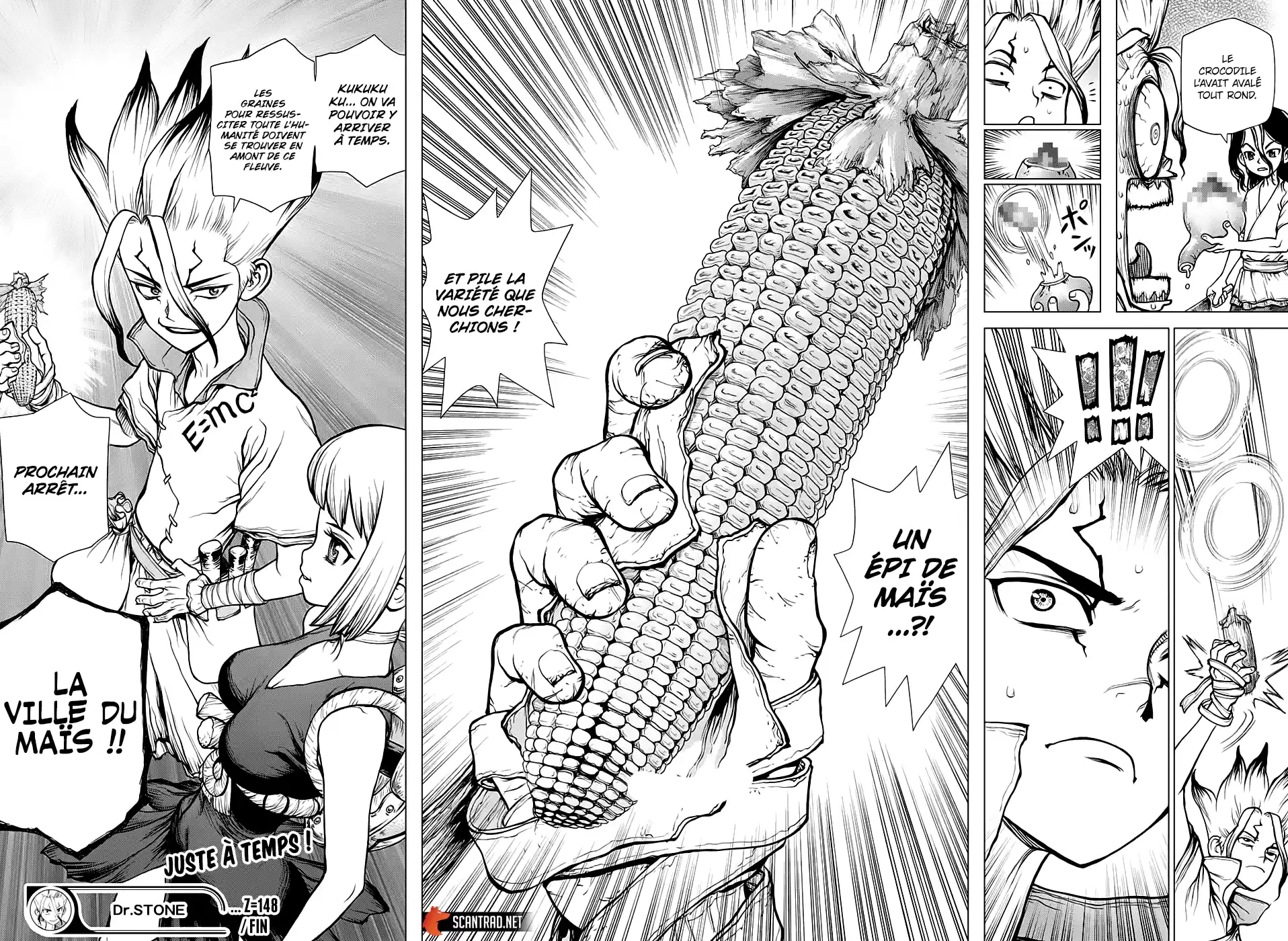 Read Dr. Stone FR Manga Online