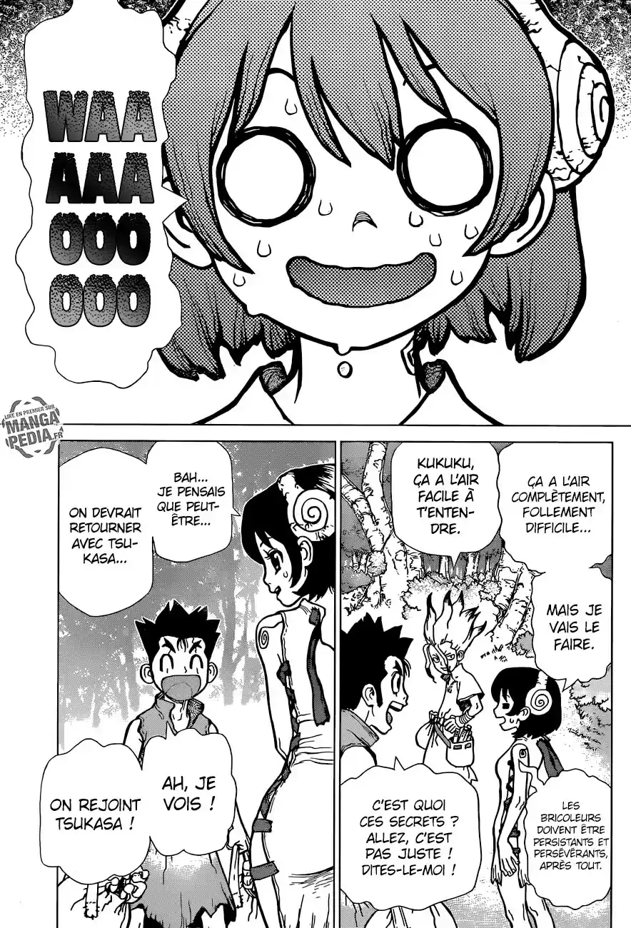 Read Dr. Stone FR Manga Online