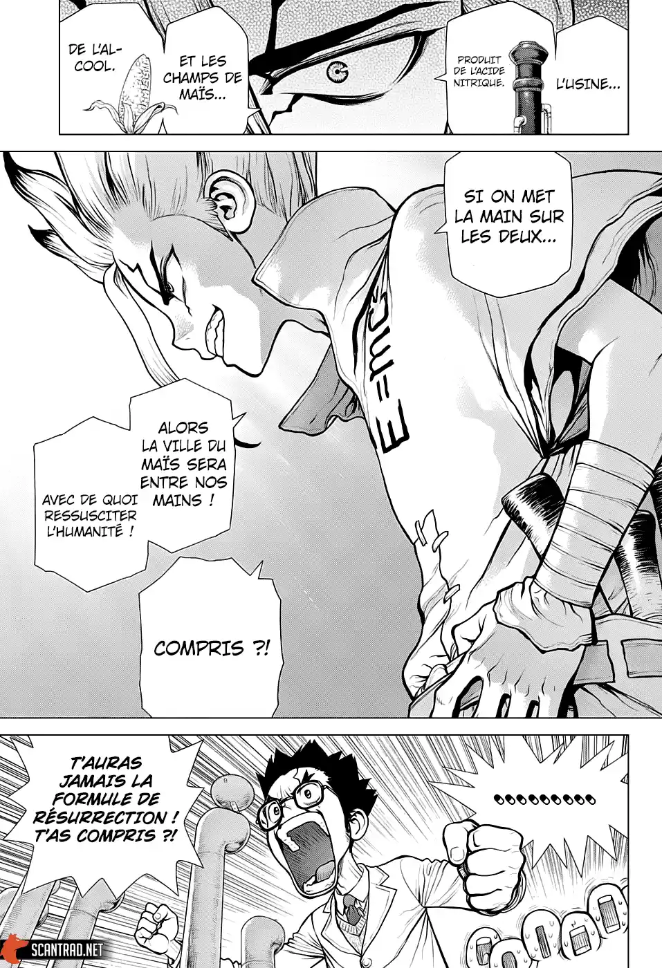 Read Dr. Stone FR Manga Online