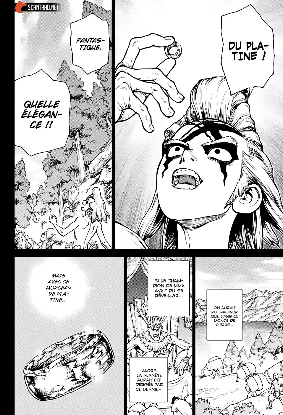 Read Dr. Stone FR Manga Online