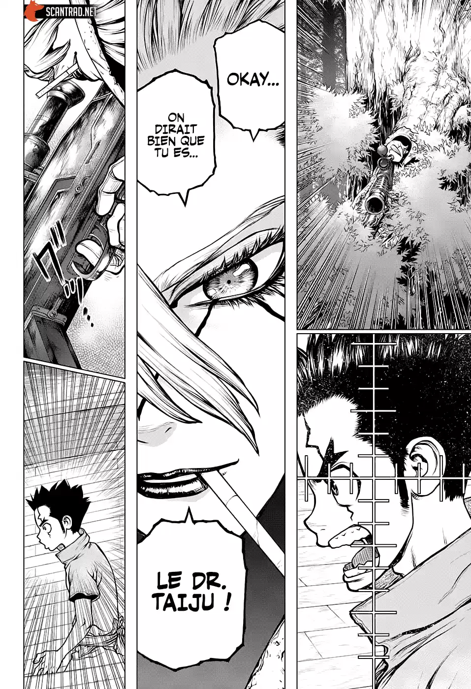 Read Dr. Stone FR Manga Online