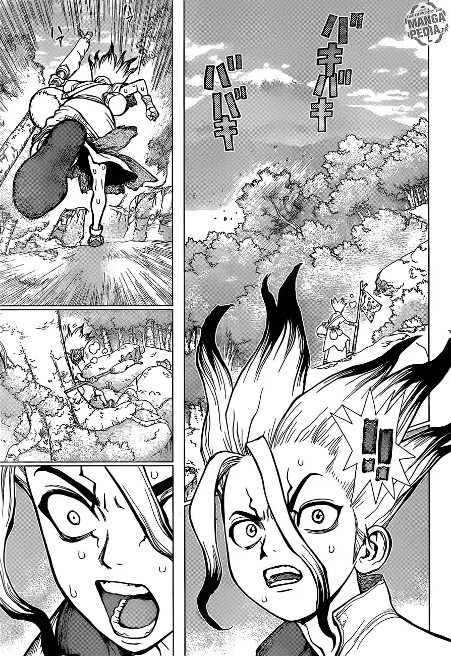 Read Dr. Stone FR Manga Online
