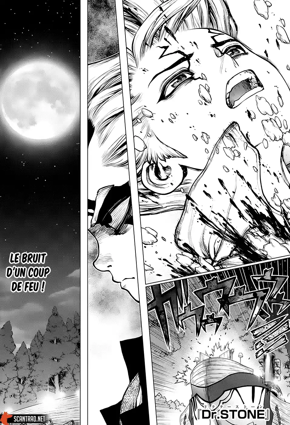 Read Dr. Stone FR Manga Online