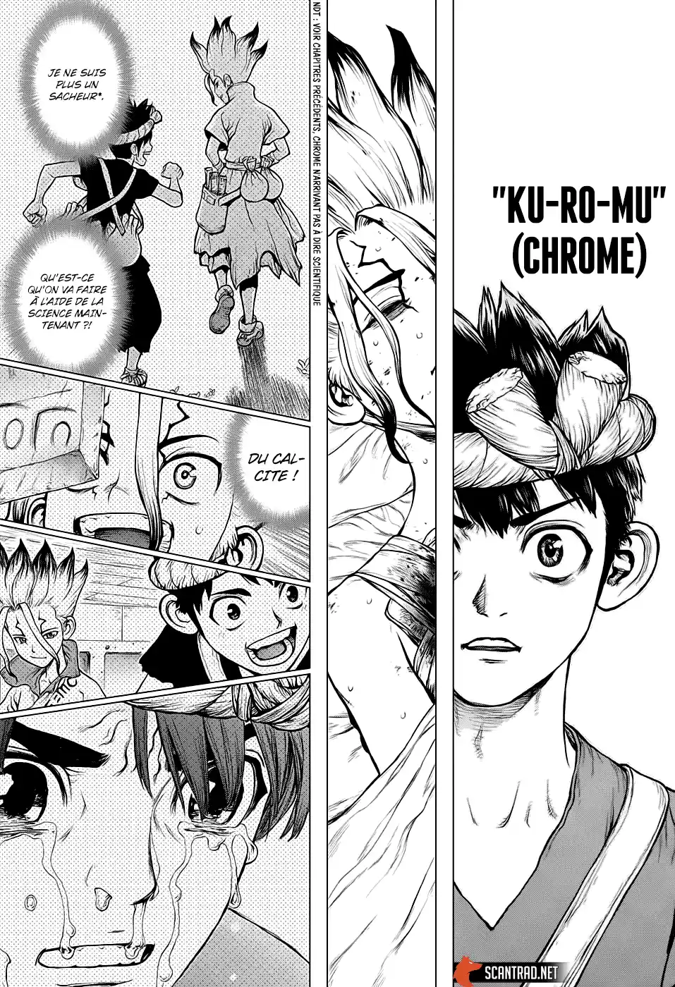 Read Dr. Stone FR Manga Online