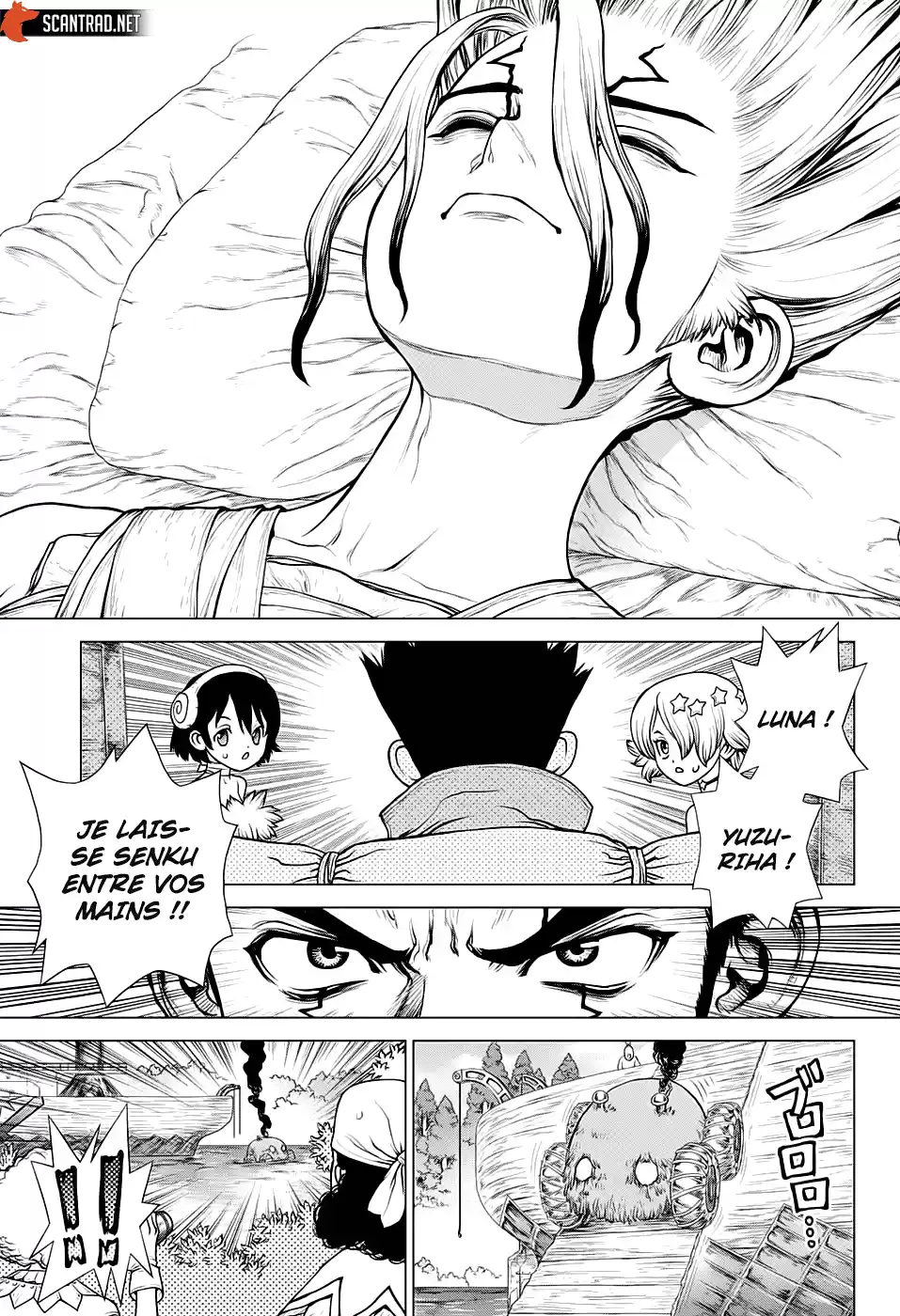 Read Dr. Stone FR Manga Online