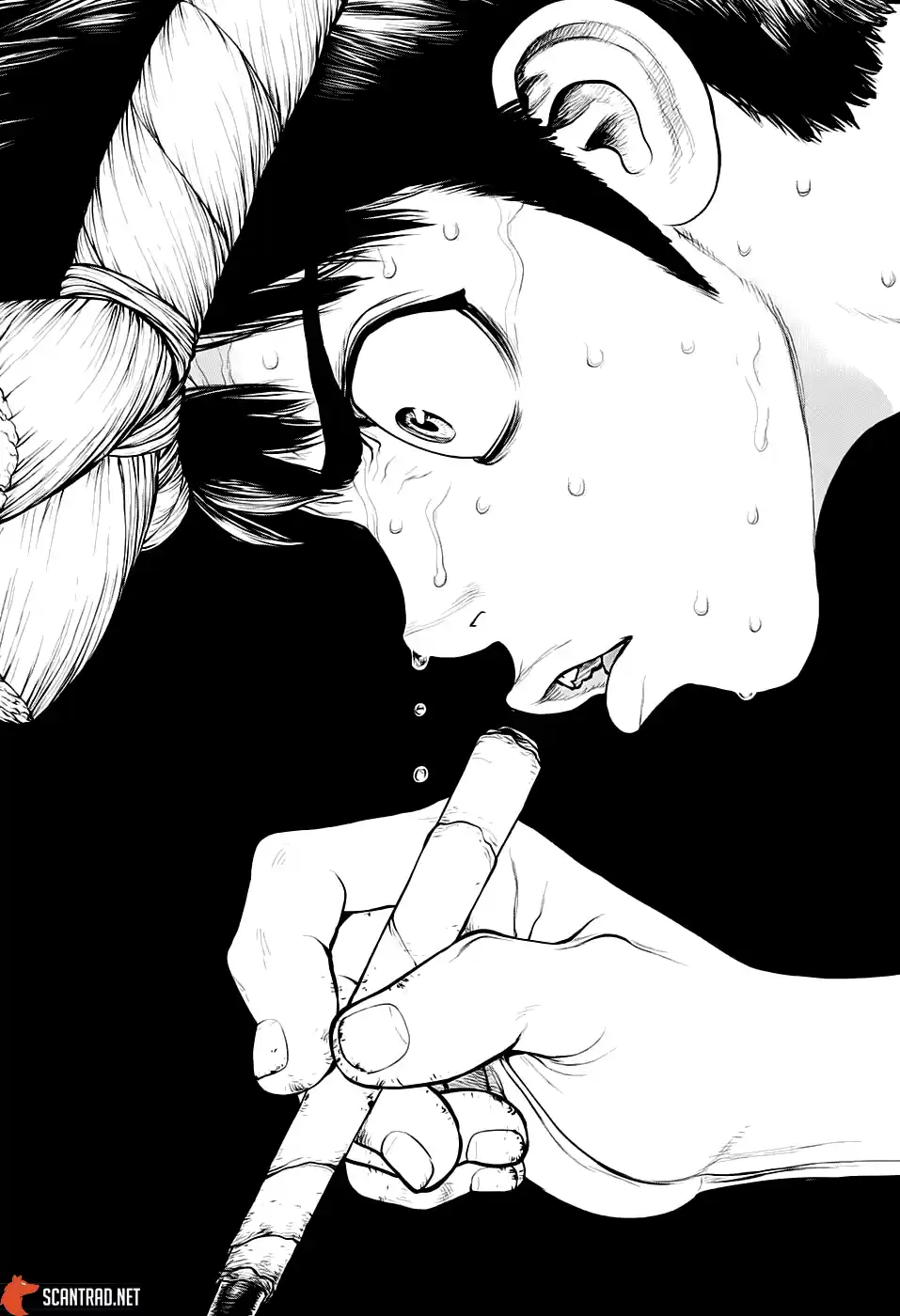 Read Dr. Stone FR Manga Online