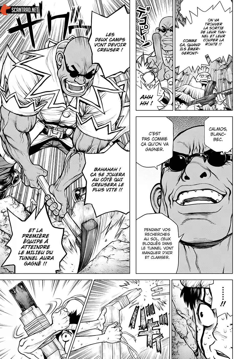 Read Dr. Stone FR Manga Online