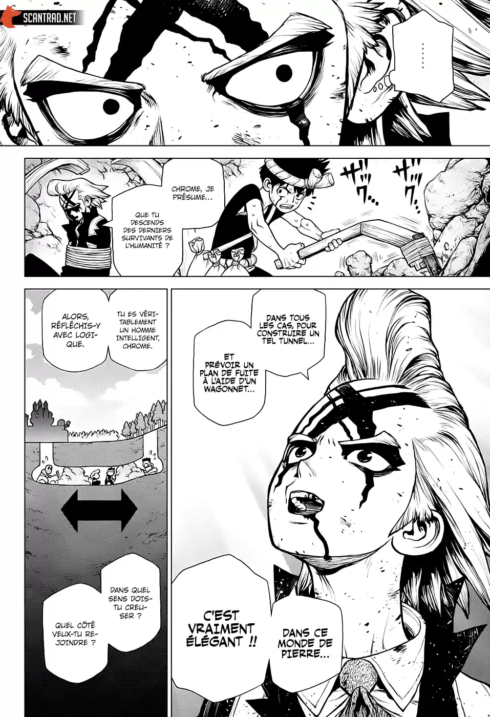 Read Dr. Stone FR Manga Online