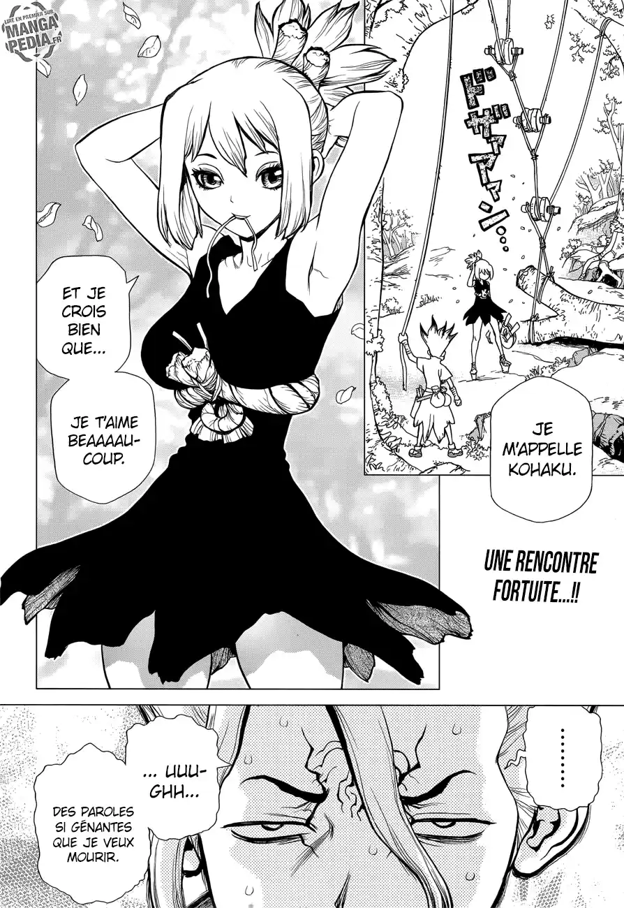 Read Dr. Stone FR Manga Online