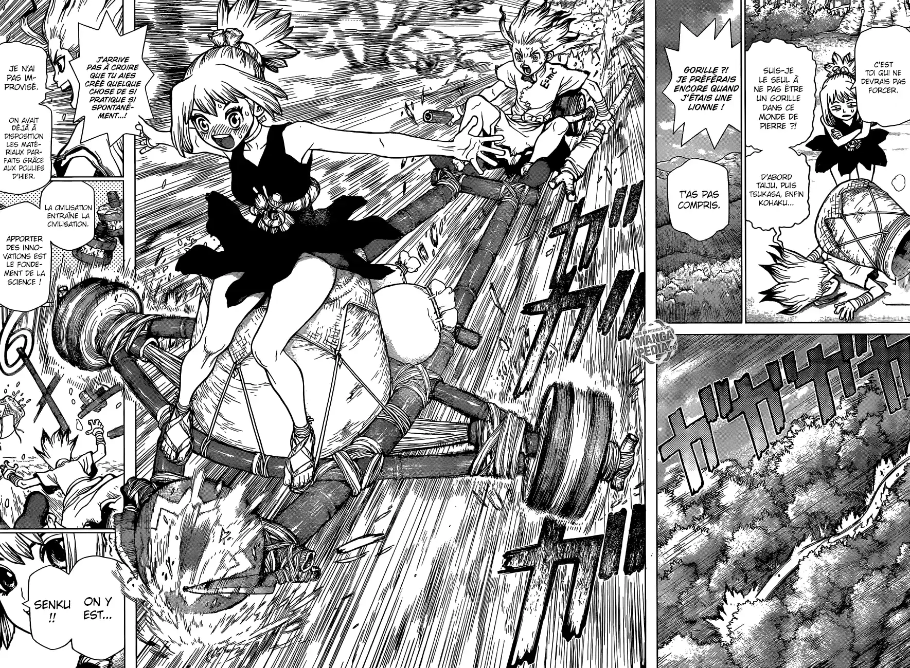 Read Dr. Stone FR Manga Online
