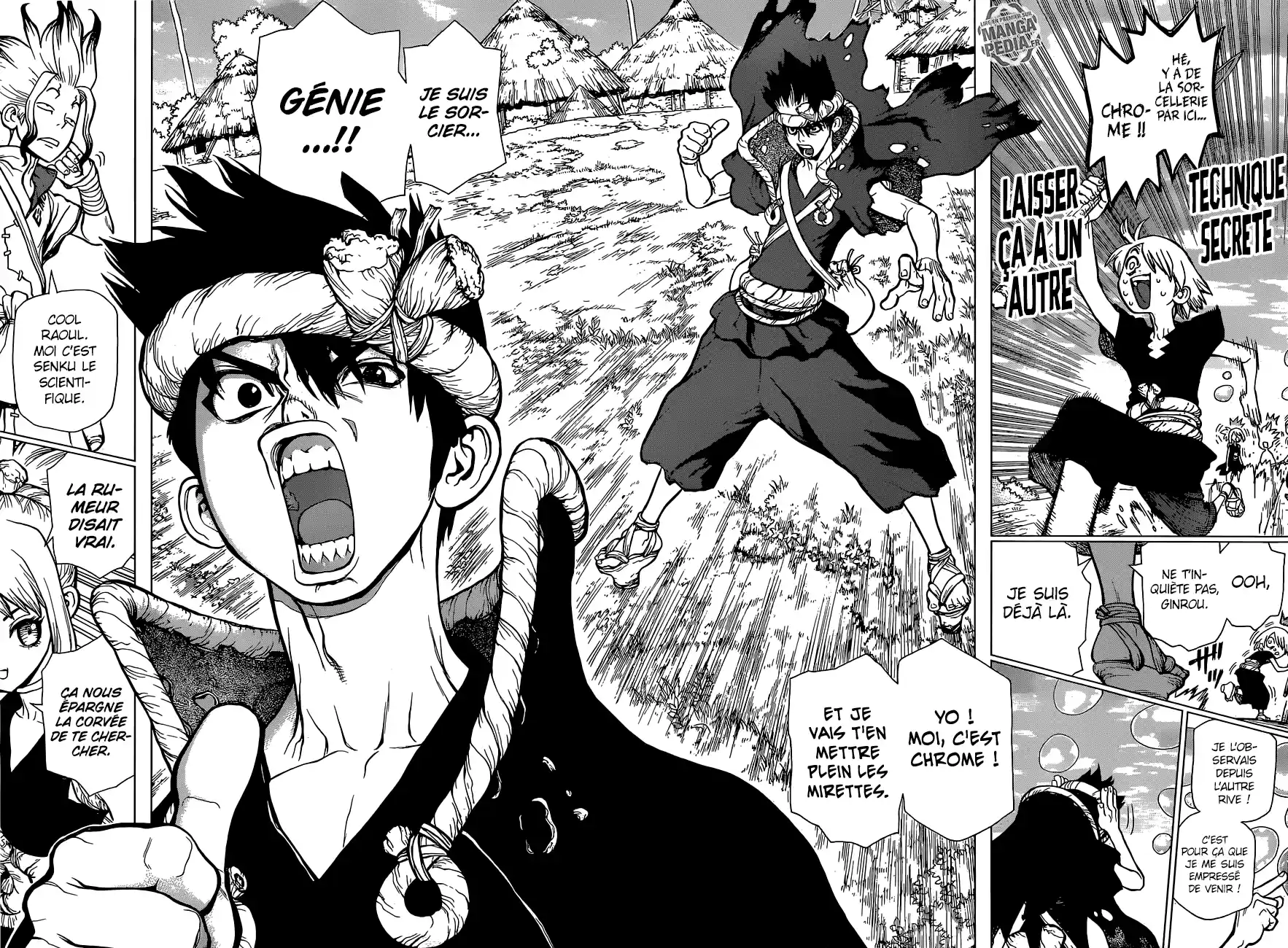 Read Dr. Stone FR Manga Online