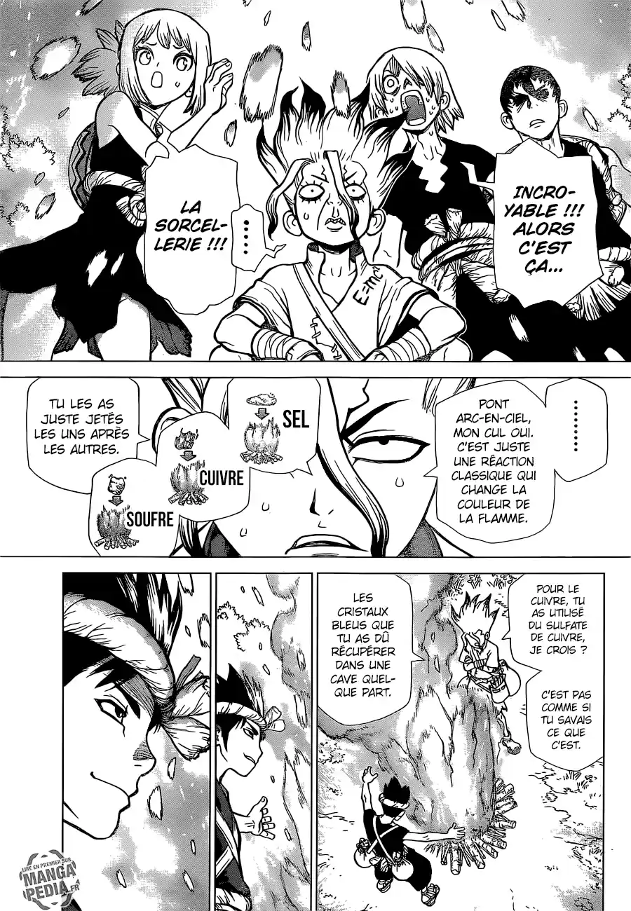 Read Dr. Stone FR Manga Online
