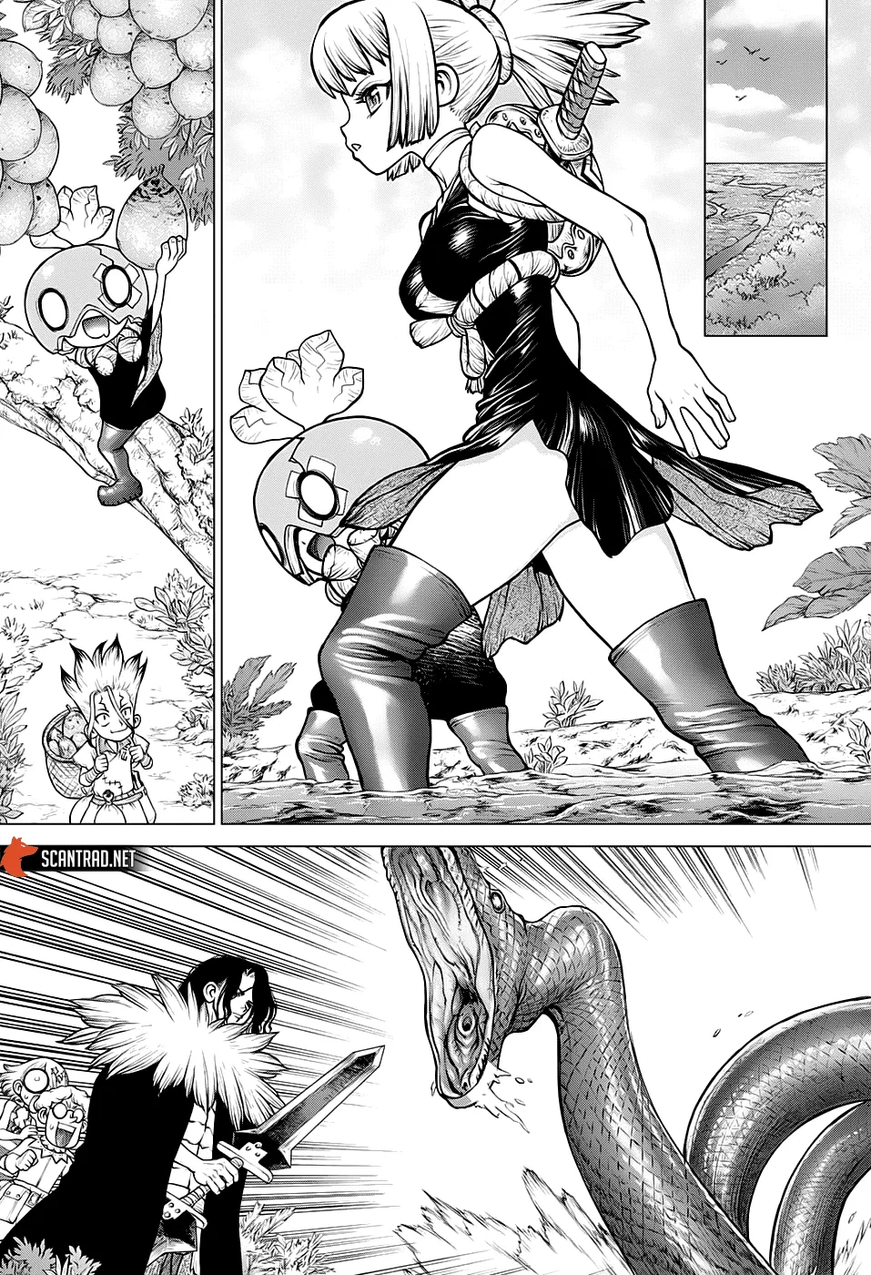 Read Dr. Stone FR Manga Online