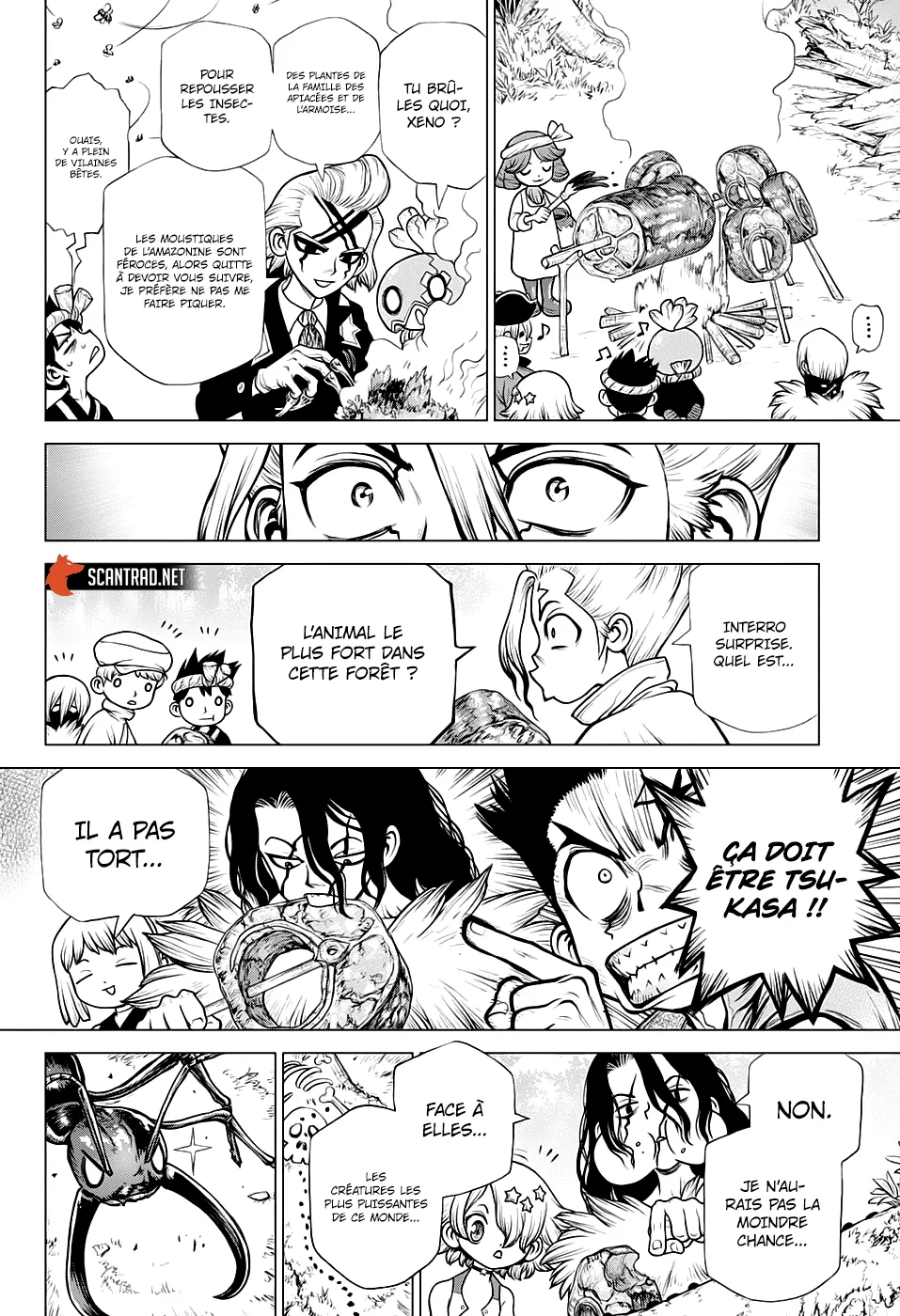 Read Dr. Stone FR Manga Online