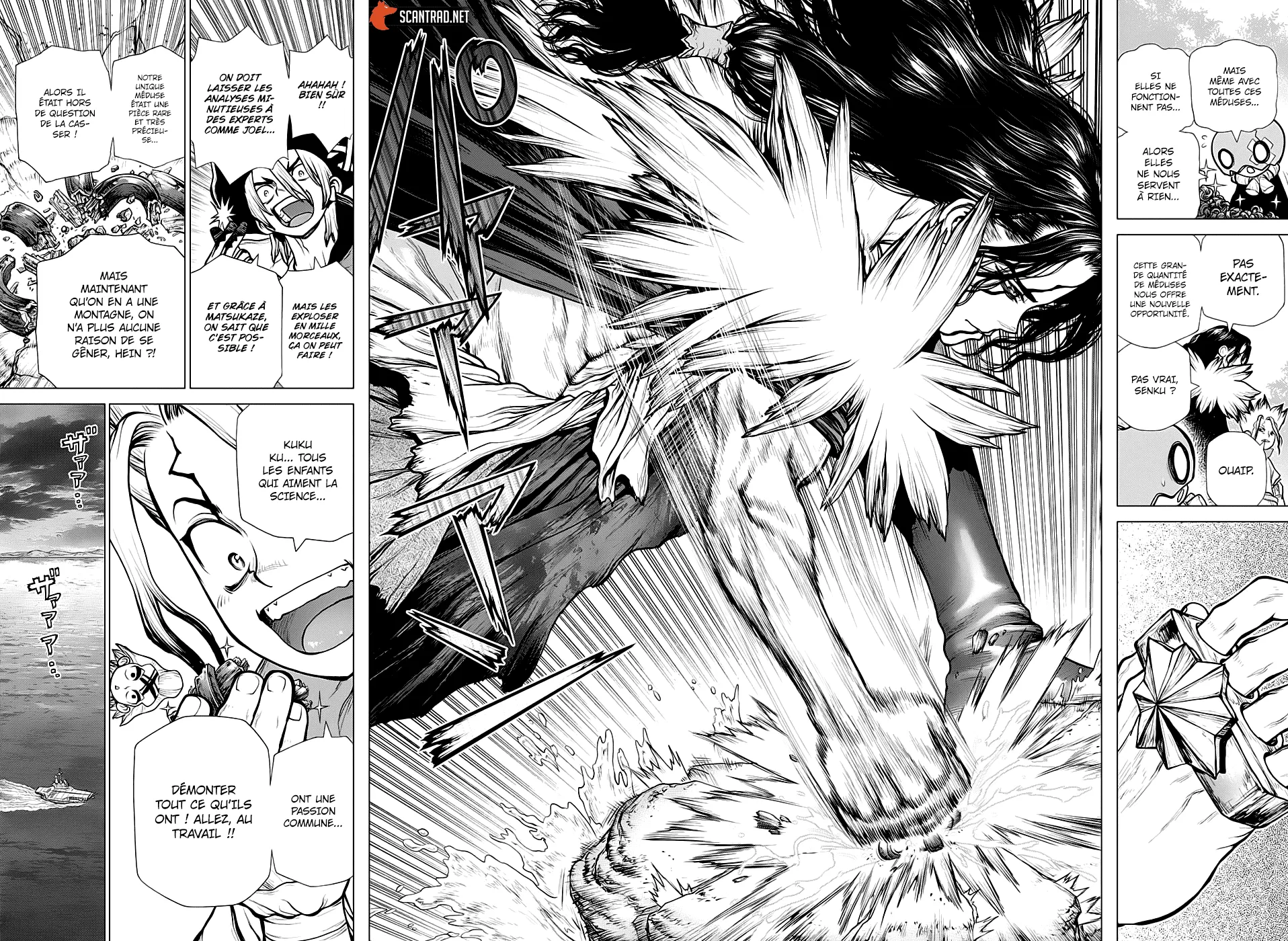 Read Dr. Stone FR Manga Online
