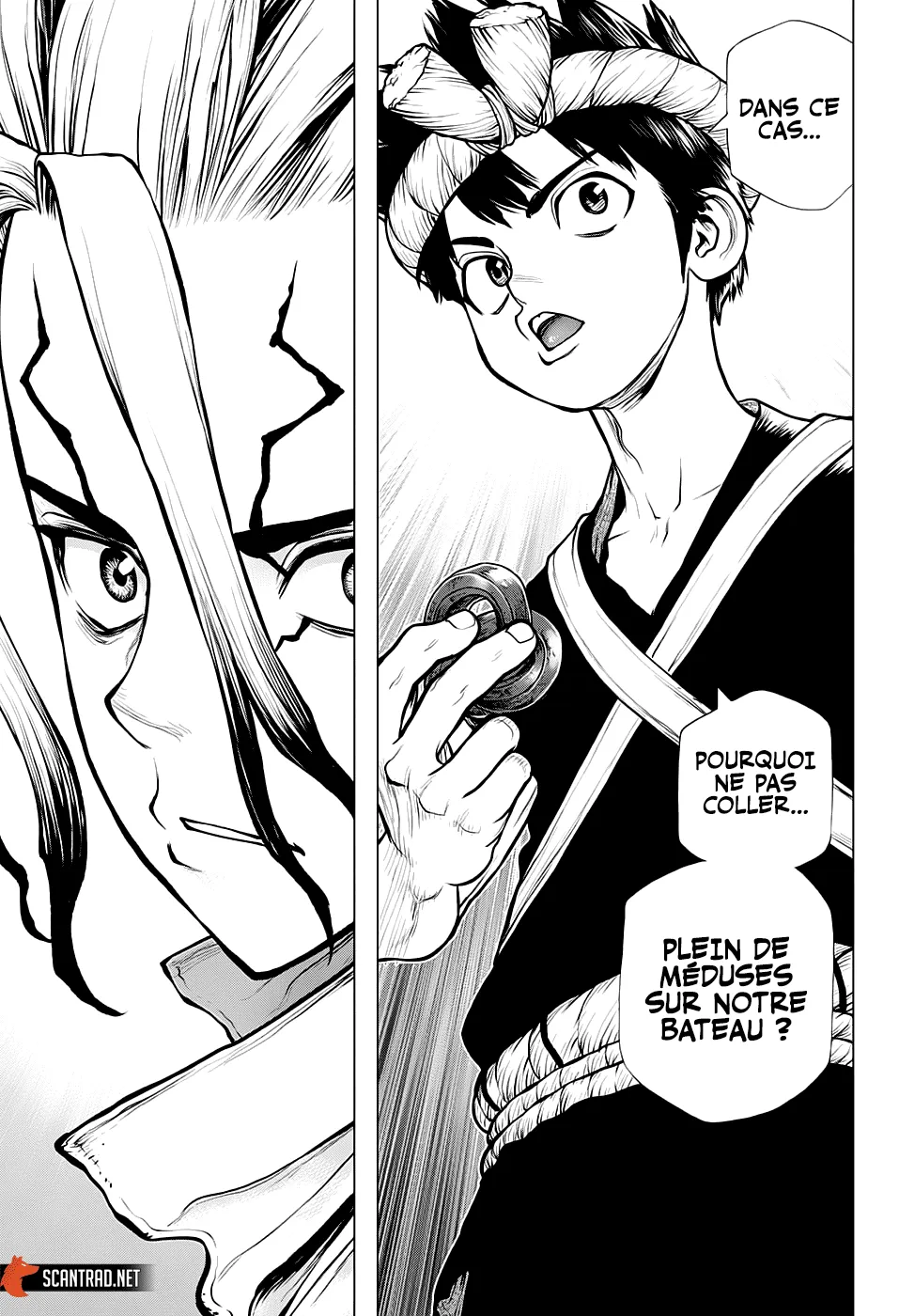 Read Dr. Stone FR Manga Online