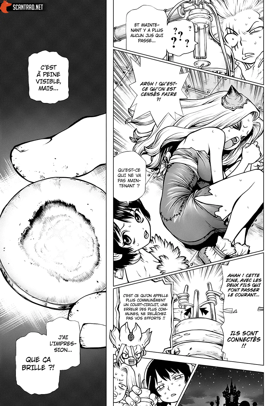 Read Dr. Stone FR Manga Online